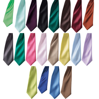 Mens Premier Colour Satin Clip Professional Narrow Blade Tie